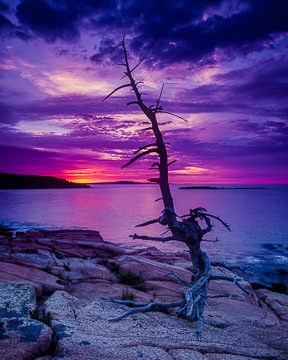 LE-AM-LA-005         Colorful Sunrise At The Coast, Acadia National Park, Maine