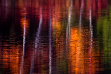 PFM-20         Autumn Colors Reflecting on Somes Pond, Somesville, Maine