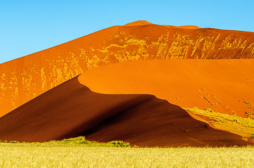 LE-AF-LA-133         Blooming Dunes, Namib-Naukluft National Park, Namib Desert, Namibia
