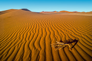 LE-AF-LA-19         Perspective Pattern, Namib-Naukluft National Park, Namib Desert, Namibia