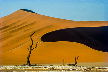 LE-AF-LA-21         Curves In The Dune, Namib-Naukluft National Park, Namib Desert, Namibia
