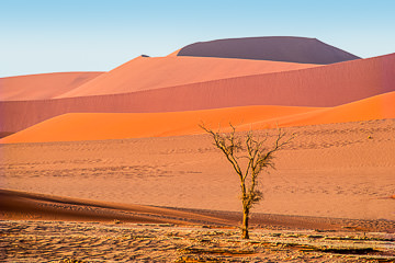 AF-LA-22         Dune Layers, Namib Desert, Namibia, Africa