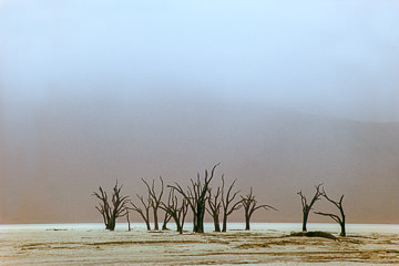 AF-LA-74         The Dead Vlei Under Heavy Fog, Namib Desert, Namibia, Africa