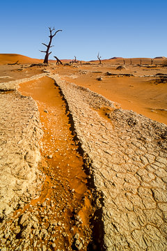 LE-AF-LA-81         Eroded Pan, Namib-Naukluft National Park, Namib Desert, Namibia