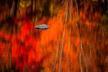 LE-AM-MIS-07         Reflected Colors Of Autumn, Near Queeche, Vermont