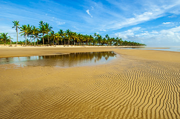 LE-BR-LA-109         Sand Patterns On A Solitary Beach, Southern Coast Of Bahia, Brazil