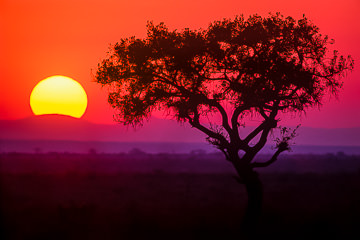 LE-AF-LA-10         Sunrise Near The Sabie River, Kruger National Park, South Africa