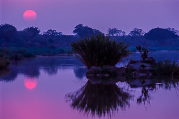 LE-AF-LA-13         Sunset At The Sabie River, Kruger National Park, South Africa