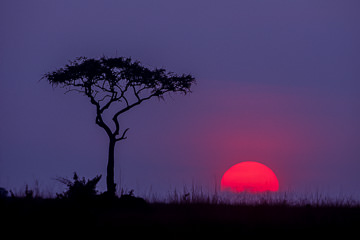 LE-AF-LA-02         Sunset At The Masai Mara National Reserve, Kenya